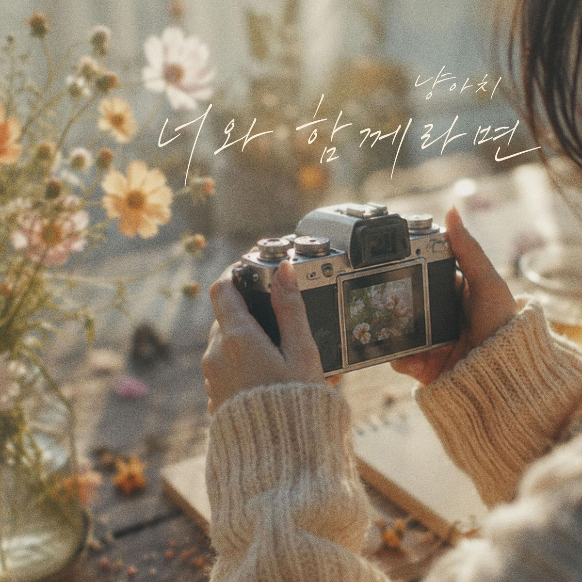 Image Cover